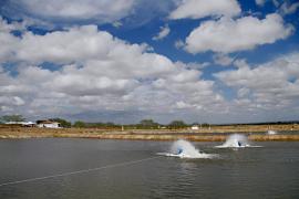 Tanque escavado - crÃ©dito da foto Heckel JÃºnior.jpg