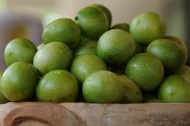 Umbu Colhido II - Geraldo Freire.jpg