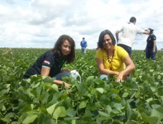 Visita Técnica Adepará e Adeal Helicoverpa (1).png