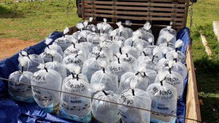 WhatsApp Image 2018-01-22 at 16.26.46.png