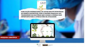 WhatsApp Image 2023-06-28 at 10.46.21.jpeg