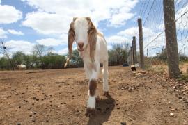 WhatsApp Image 2023-07-17 at 13.40.21.jpeg