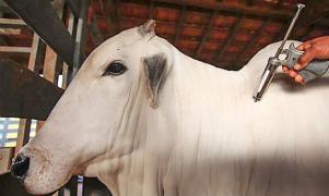 WhatsApp Image 2023-12-14 at 11.48.01.jpeg