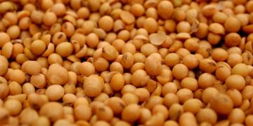 WhatsApp Image 2024-01-10 at 15.19.29.jpeg