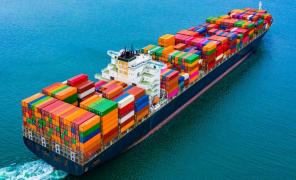 WhatsApp Image 2024-04-01 at 14.51.08 (2) - Cópia - Cópia.jpeg