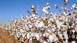 WhatsApp Image 2024-05-02 at 15.26.28.jpeg