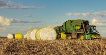 WhatsApp Image 2024-05-24 at 08.23.17.jpeg