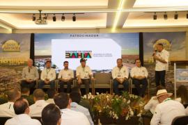 WhatsApp Image 2024-06-10 at 16.42.06.jpeg