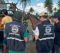 WhatsApp Image 2025-01-04 at 11.27.48.jpeg