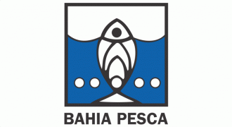 bahia_pesca_109.gif