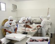 beneficiamento de pescado-editado.jpg
