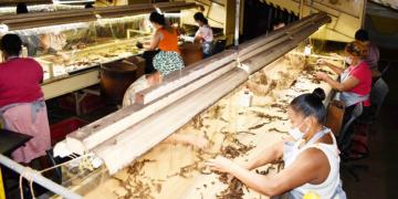 capa da materia tabaco.jpg