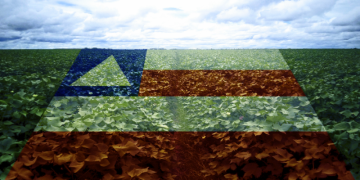 capa grão recorde.png