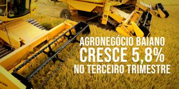 capa materia algodao.jpg