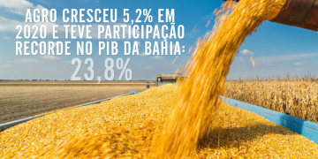 capa pib bahia 2020.png