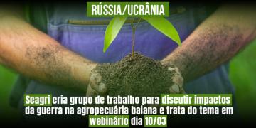 capa webnario site.jpg