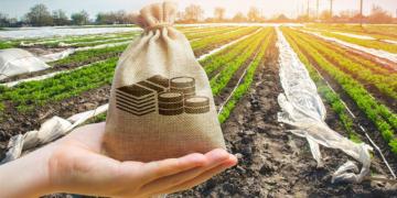 capa_Agropecuária baiana teve impulso de 3,6% no quarto trimestre de 2022.jpg