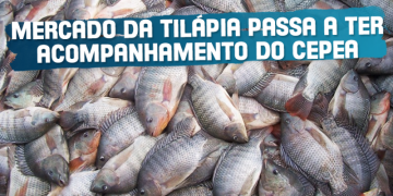 capamateriatilapia.png
