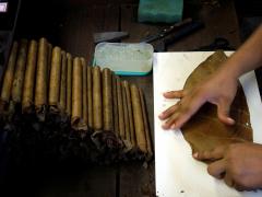 charuto - le cigar_0.jpg