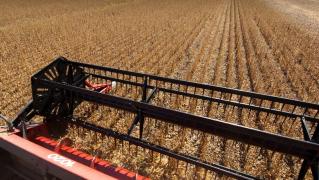 colheita_de_soja_united_soybean_board_5.jpg