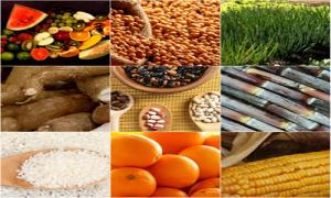 commodities_20.jpg