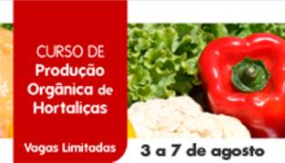 curso_hortaliças.jpg