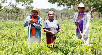 destaque_agricultura_familiar_180.jpg