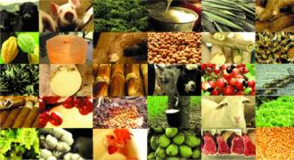 destaque_desenvolvimento_agropecuario_1573.jpg