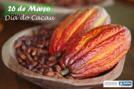 dia do cacau.jpg