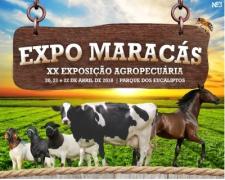 expo maracas.jpg