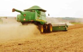 foto11agr-102-usda-b14____.jpg