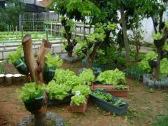 get_archive (1)_1.jpg