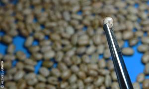 get_archive (1)_8.jpg