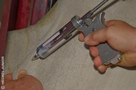 img_not1458_22.jpg