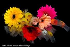 img_not641.jpg