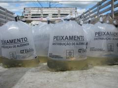 peixamento 10.03.2017_0.jpg