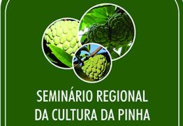 seminario_pinha.jpg