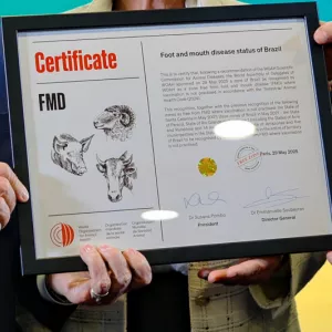 Em Paris, Governo da Bahia celebra certificação internacional como Zona Livre de Febre Aftosa sem Vacinação