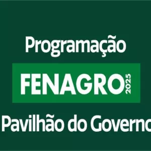 programação