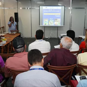 Reunião Câmaras Setoriais Fenagro 2025