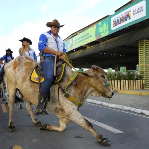 Vaqueiros na Fenagro 2025