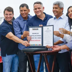 Controle populacional de cães no Sudoeste baiano