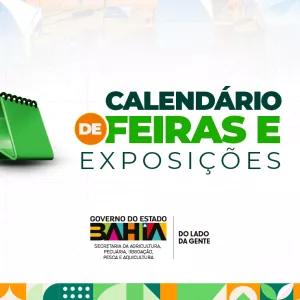 Calendário
