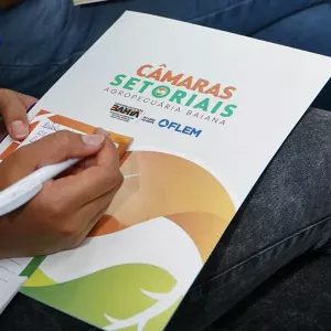 Reunião técnica Câmaras Setoriais