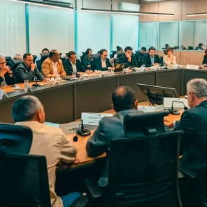 Reunião no MDA sobre citricultura baiana