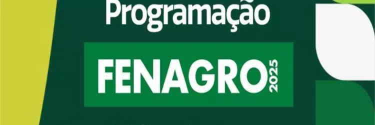 programação