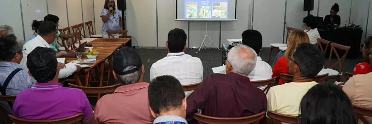 Reunião Câmaras Setoriais Fenagro 2025