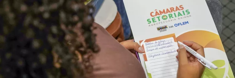 Reuniões técnicas Câmaras Setoriais