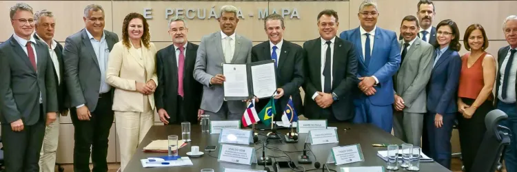 Cacau