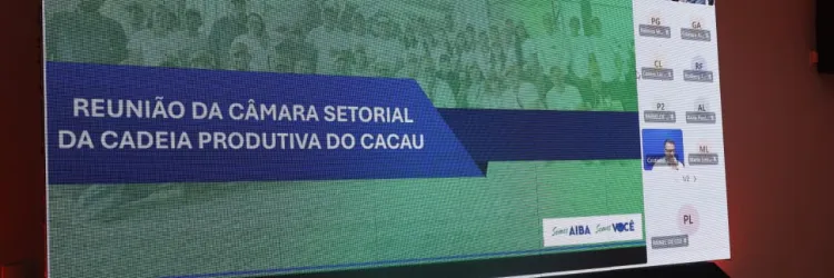 Reunião da Câmara Setorial do Cacau em Barreiras